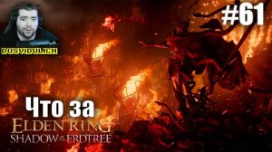 Что за ★ Elden Ring Shadow of the Erdtree Edition #61