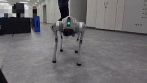 Unitree Go2 Pro test drive