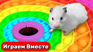 Лабиринт для Хомяка ! Умный Хомяк попал в КОМПЬЮТЕРНУЮ ИГРУ ! Видео для детей
