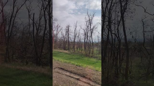 Видео N 92