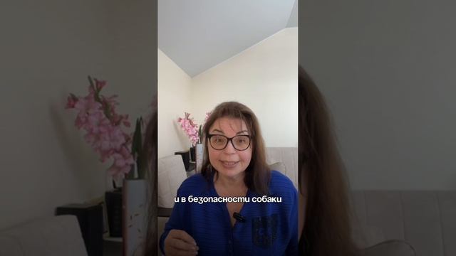 Как убрать лай при встрече с другой собакой?
#кинолог #дрессировка #дрессировкасобак #воспитание
