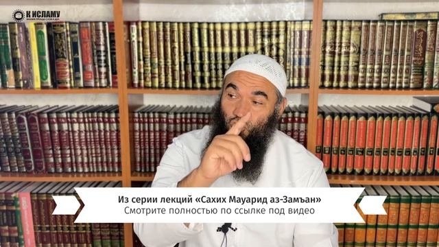Займи всю свою жизнь Сунной пророка ﷺ! | Ринат Абу Мухаммад