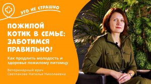 Это не страшно. Пожилой котик в семье: заботимся правильно