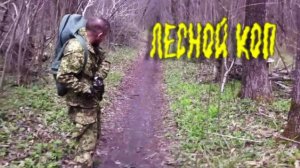 Лесной коп | Первые советы в сезоне 2025