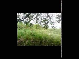 Поиск монет по старым деревням. Разочарование и успех .