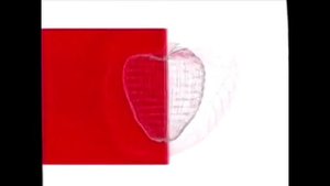 Заставки ТВЦ 2002-2004