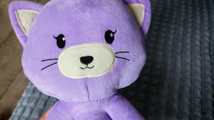 играем с ребенком в плюшевого котика