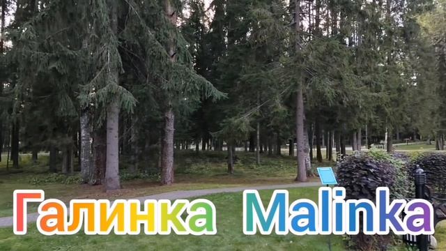 Ольга Уралочка live /Испугались /Попрятали морды /Что случилось!? /Обзор Влогов /Уралочка и Сафар /