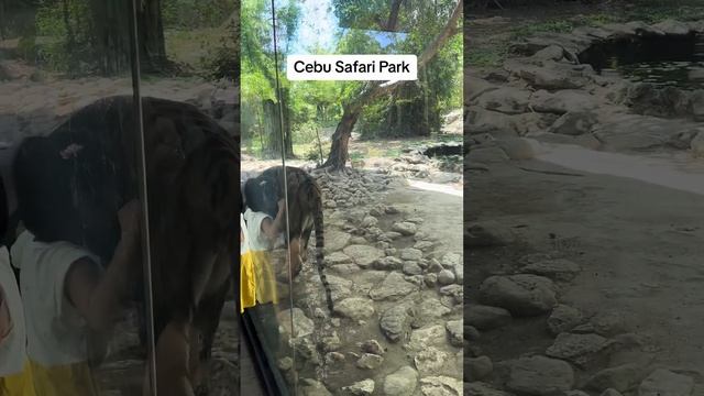 Cebu Safari Park was a great adventure