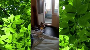 Растём вместе с Нильсом 2  года 3 месяца