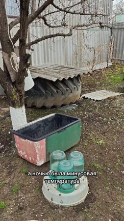 Весенняя печалька на юге.... (