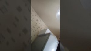 продолжение про Алису из Яндекса