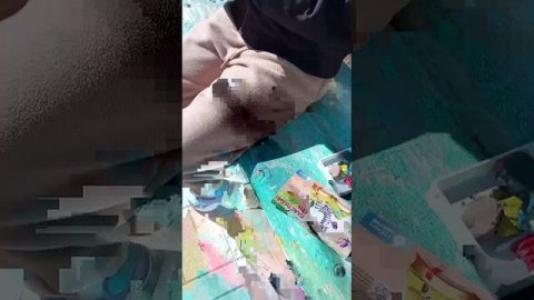 настоящая школа! от красота здоровье жизнь и пчелы