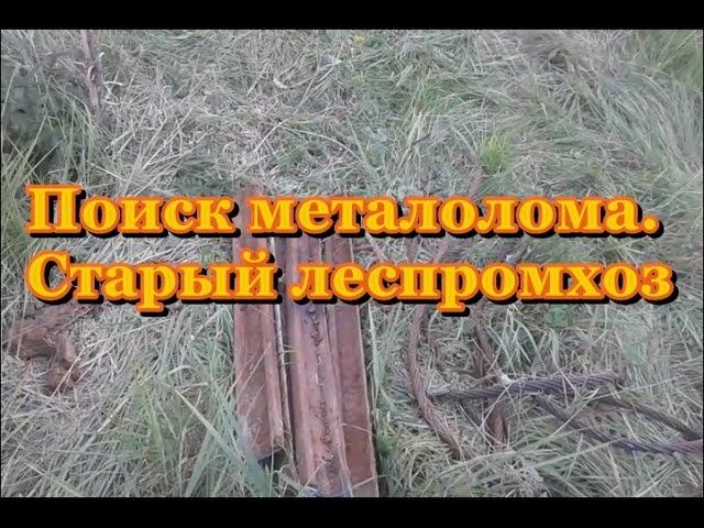 Коп металлолома. Старый леспромхоз.