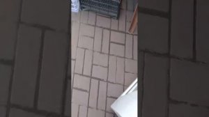 гуляем