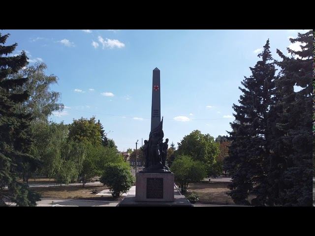 Влетел задом в ветки. смотреть онлайн