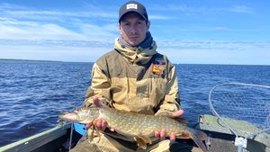 ДОЖДАЛИСЬ! Любимая рыбалка на троллинг | Ловим окуня и щуку на реке Свирь 2021