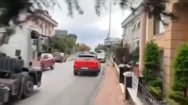 смешные видео