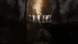 Длиноshorts #1 - топ 10 дробовиков Stalker Anomaly Custom часть 1 #maxplay #shorts #сталкер #anomaly