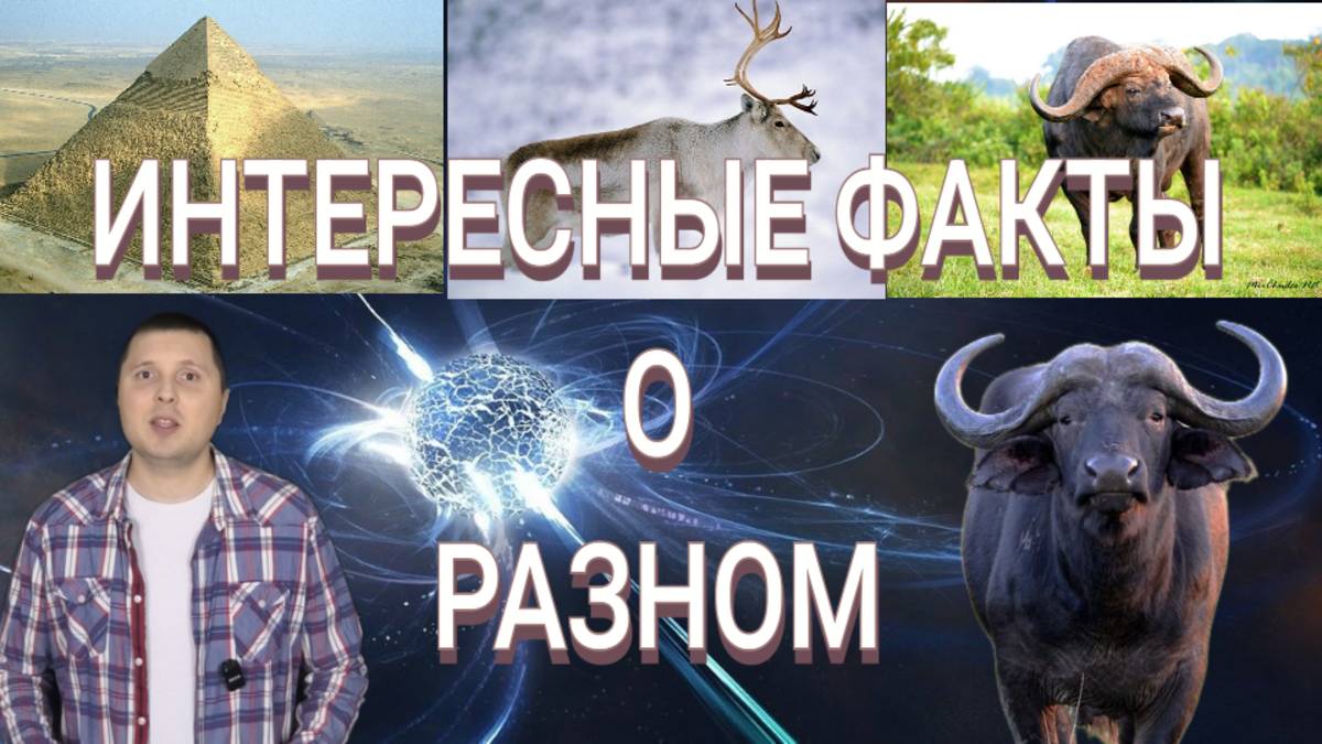 Интересные факты о разном (2 выпуск)