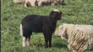 Вот моя молитва