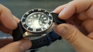 Citizen NB6021-17E Promaster Marine Automatic Titan/Die bekannte "Seepocke"/Bester Diver von Citize