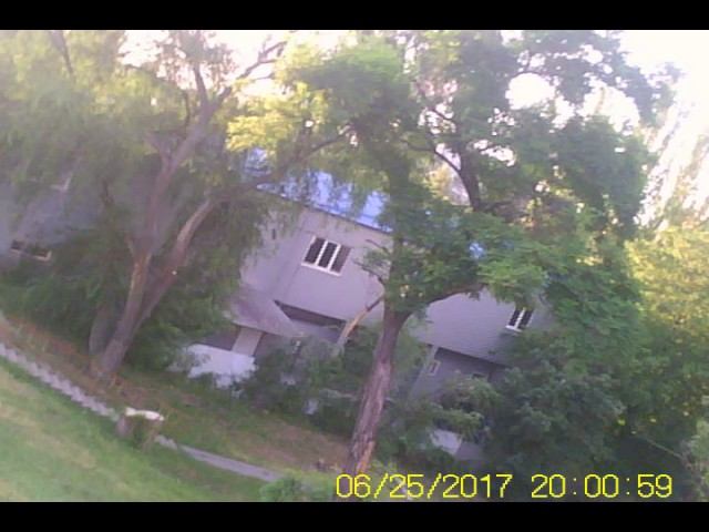 Полет со стрижами