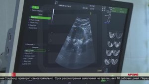 Выплаты беременным 09.04.2025