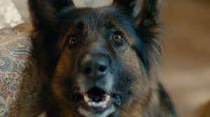 Тизер  Маня и Груня