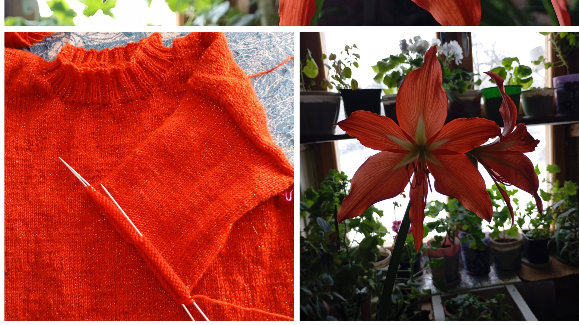 Распустилась на окне красота 😍 платье моё на последней стадии и будем обновлять смотреть онлайн