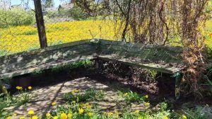 Продаётся дом в Деревне Лютовичи за 12000 долларов.Минская область,Копыльский район.