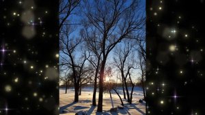 Гарри Поттер и Орден Феникса. Глава 24 _ Аудиокнига