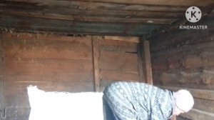 Хлеб пеку в печи! Навоз в мешки собрала для парника!