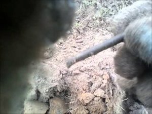 Погоня за сокровищами. Поиск монет на стадионе у сельского кладбища.