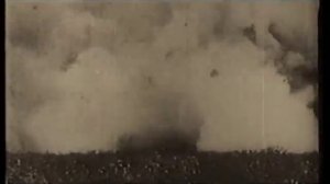 Дикая Дивизия