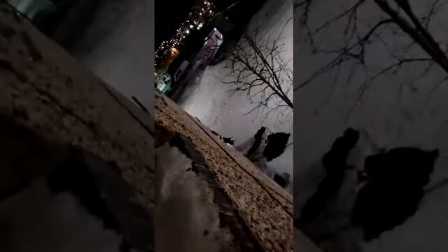 С#ёбывают . до конца г. Мончегорск