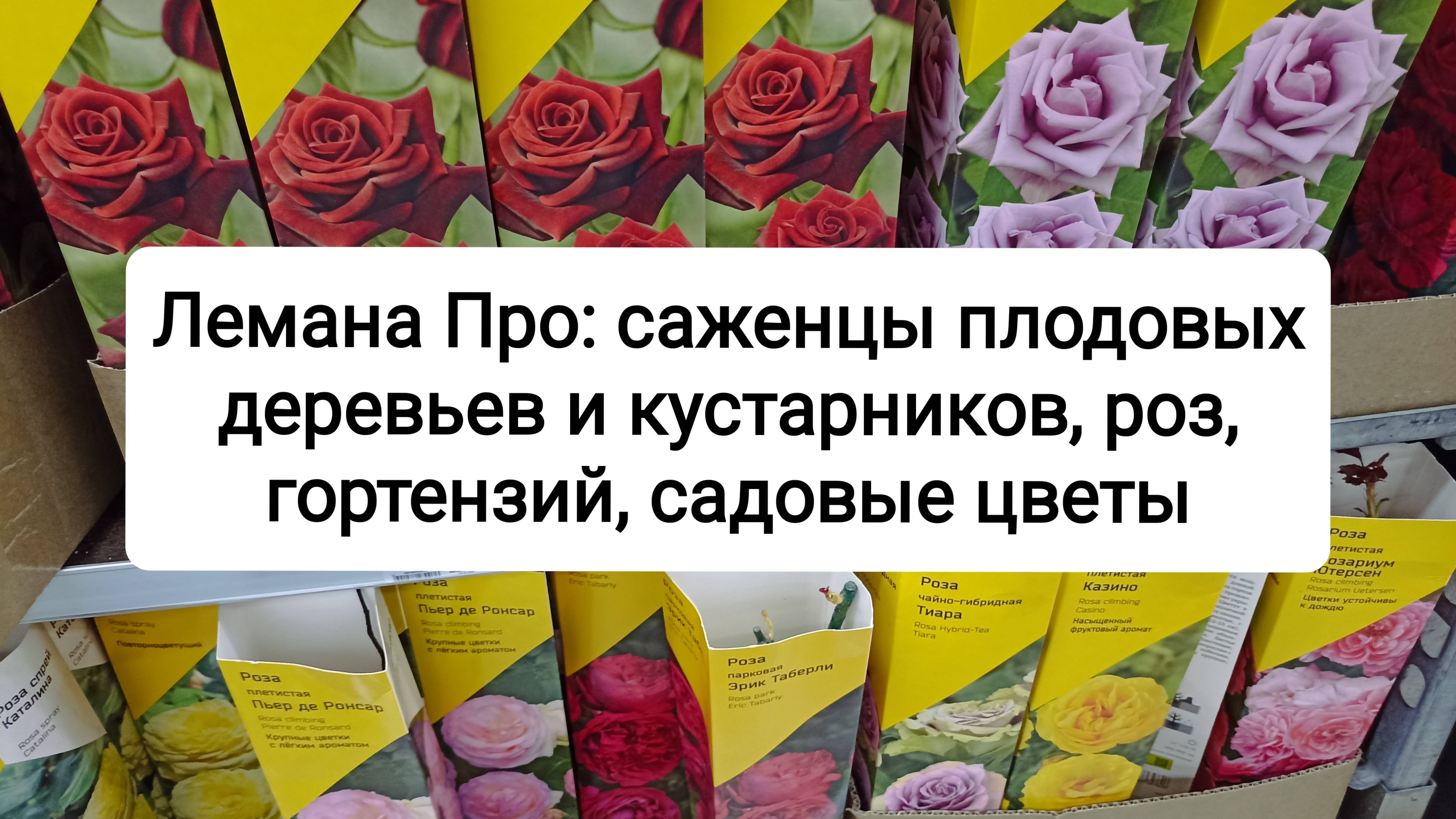 Лемана Про: саженцы плодовых деревьев и кустарников, роз, гортензий, садовых цветов
