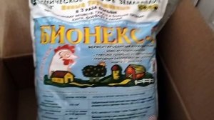 Лечу мужа/Новый термометр/Покупки/Бионекс-1/Рассада подрастает