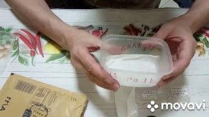 Комнатные цветы. Каладиумы. Размножаю семенами.#комнатныецветы#каладиум#каладиумсеменами