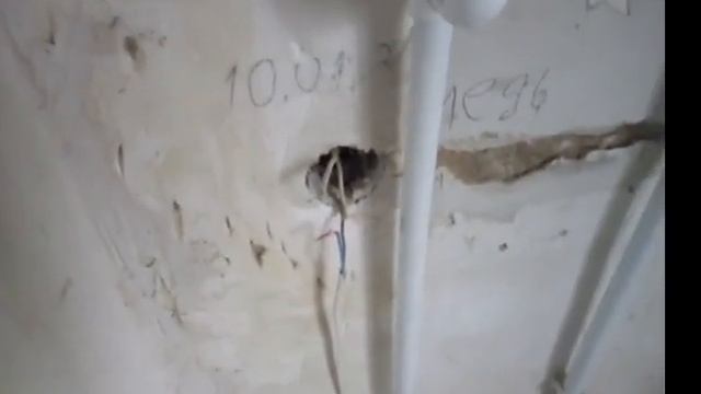 Ошибка в монтаже электрической проводки в доме. смотреть онлайн