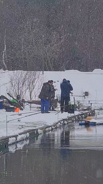 Поимки смотреть онлайн