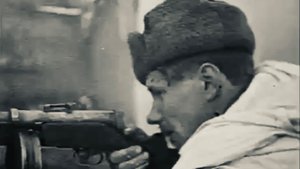 19 лет