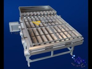 Обзор сортировочной установки для рыбы Vaki Smart