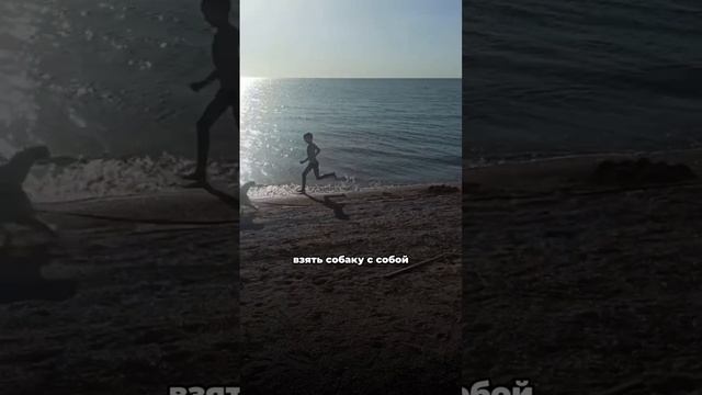 Самая вредная рекомендация по дрессировке☝️