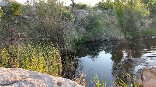 Семинар - HZP VI, оценка послушание ... смотреть онлайн