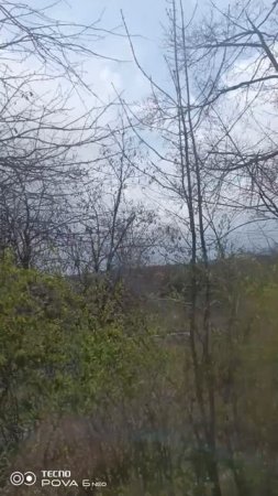 ааснспщсдспч