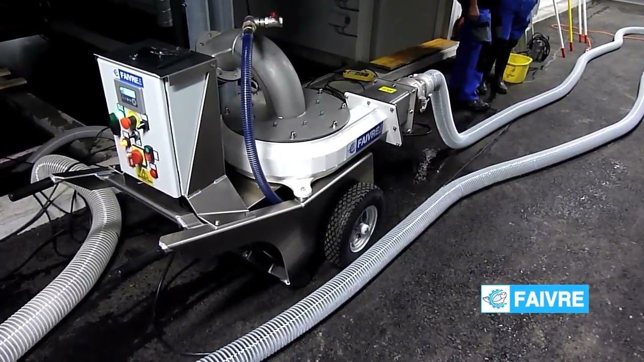 Совместная работа рыбонасоса Pescamotion 30 и сортировщика рыбы Helios 20