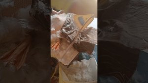 Щипаем гуся при помощи утюга.