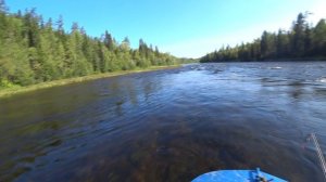 В тайгу на таёжную речку за хариусом. Экстремальная рыбалка. Жесткое испытание лодки под водомётом.