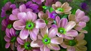 Любовь Господню описать не могут